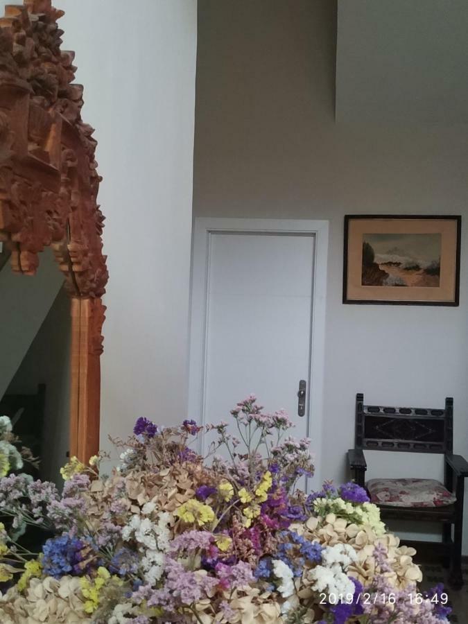 Benavides 5 Apartment ซานตาครูซ เด เตเนริเฟ ภายนอก รูปภาพ