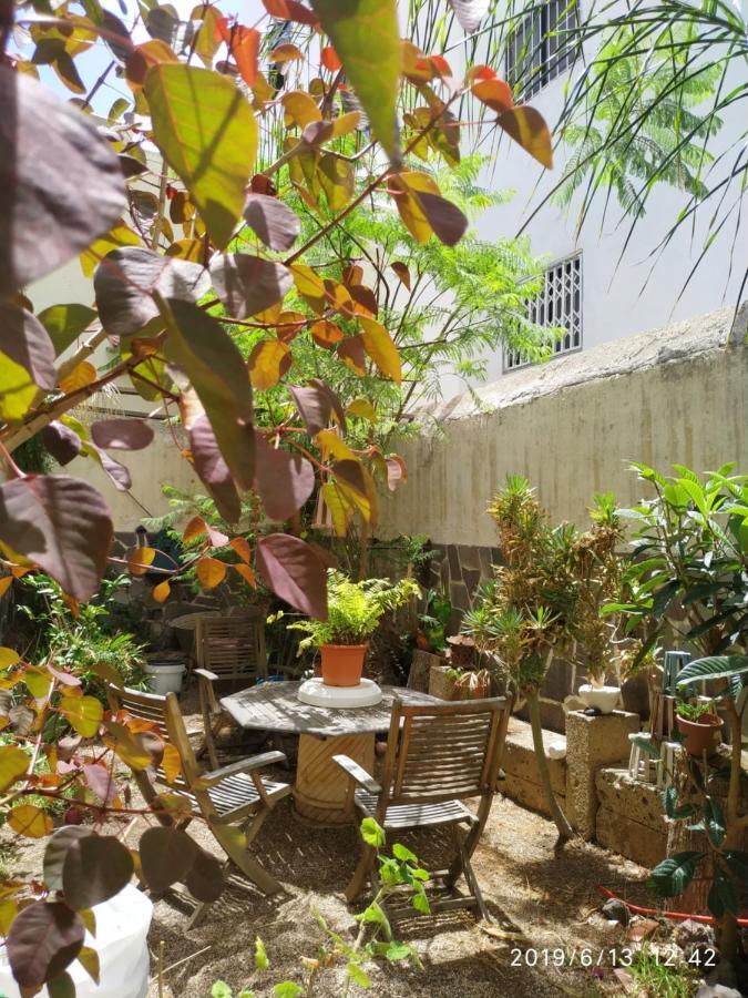 Benavides 5 Apartment ซานตาครูซ เด เตเนริเฟ ภายนอก รูปภาพ
